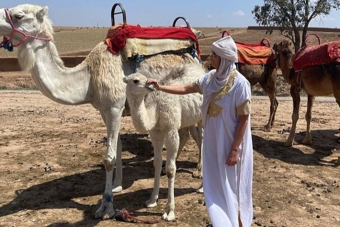 Atlas Bound: Marrakechs 5 Valleys Expedition - Meeting Local Mountain Guides