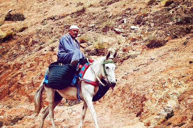 Atlas Mountains and Three Valleys Day Trip From Marrakech - Discover Berber Culture