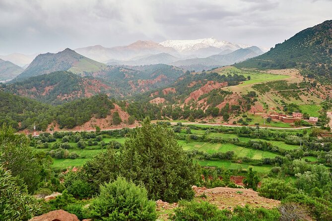 Atlas Mountains Day Trip With Camel Ride & Visiting Berber Villages - Camel Ride Experience