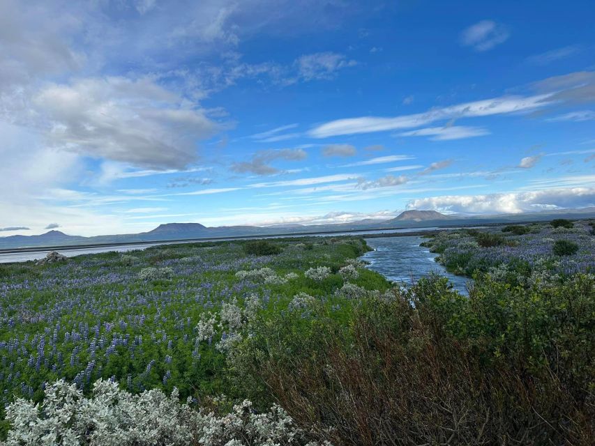 ATV Guided Trip Close to Dettifoss Iceland - Experience With a Local Guide