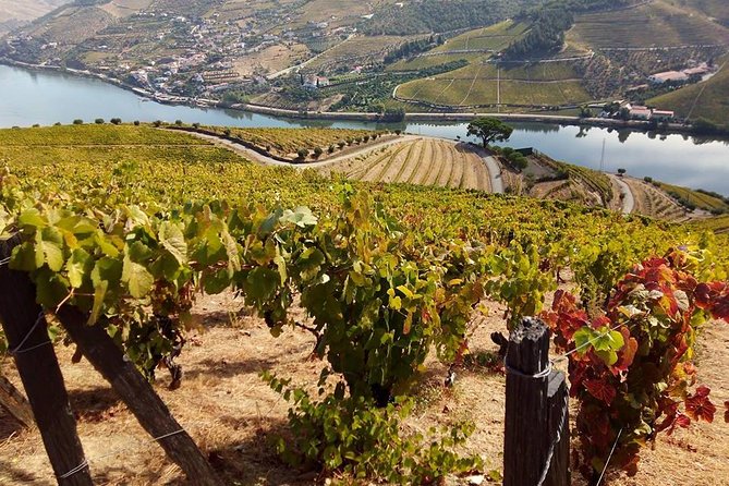 Authentic Douro Valley - Small-Group Tour (Max 7) - Tour Inclusions and Exclusions