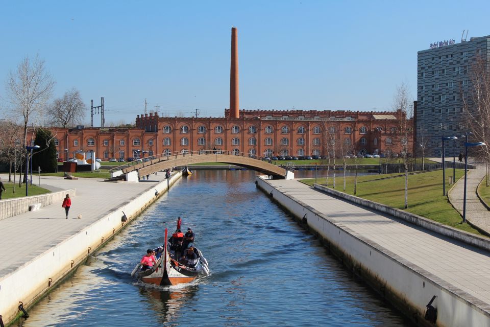 Aveiro: Private Walking Tour in the City and Moliceiro Boat - Important Tour Information