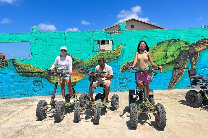 Baby Beach and San Nicolas Art Murals Private EZ Raider Adventure - Experience Highlights