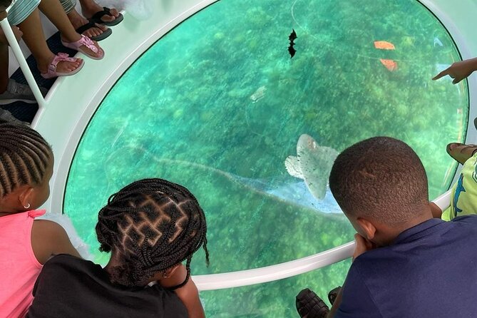 Bahamas on a Semi Submersive Glass Bottom Boat - Location and Surroundings