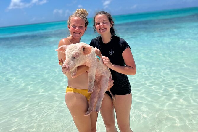 Bahamas Swimming Pigs Experience on Rose Island - Guest Experience