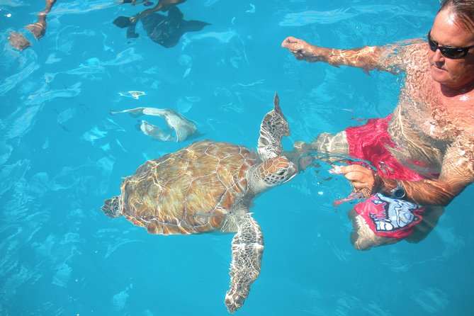 Barbados Catamaran Turtle Snorkel With Open Bar - Positive Guest Reviews