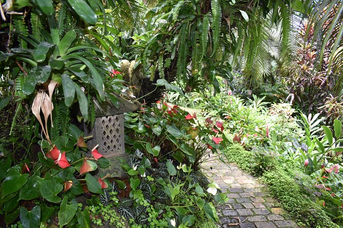 Barbados Small Group or Private: Harrisons Cave, Gardens and St Nicholas Abbey - Cancellation Policy