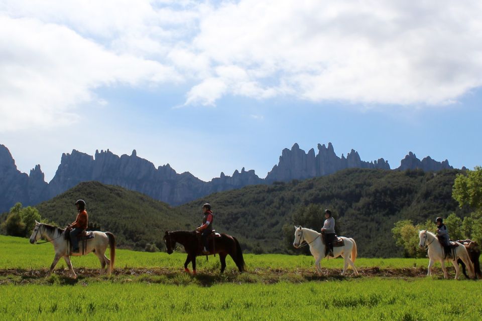 Barcelona: Walking and Horse Riding Day-Trip in Montserrat - Customer Feedback