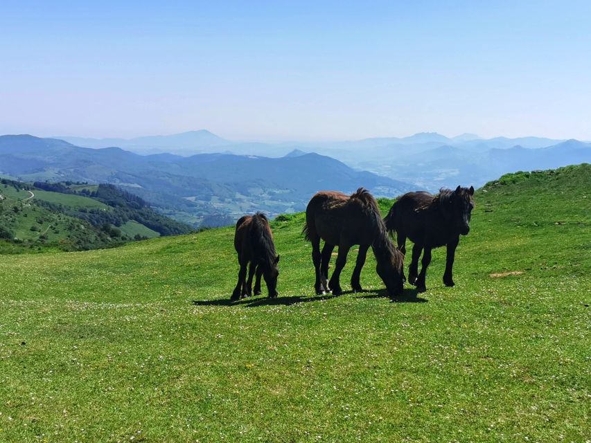 Basque Country: Mountains, Ocean, & Sanctuary of Loyola Trip - Getaria: Historic Town Center