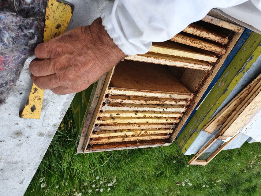 Bees in Romania - Private Beekeeping Lesson and Local Lunch - Traditional Romanian Lunch