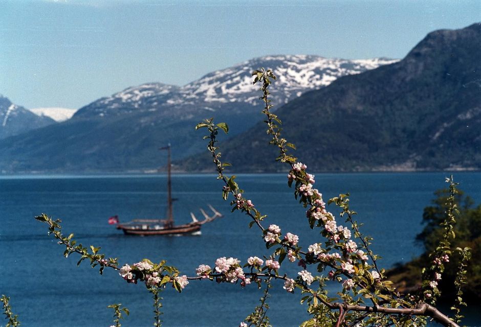 Bergen: Hardanger Fjord Cruise & Vøringsfossen Private Tour - Inclusions