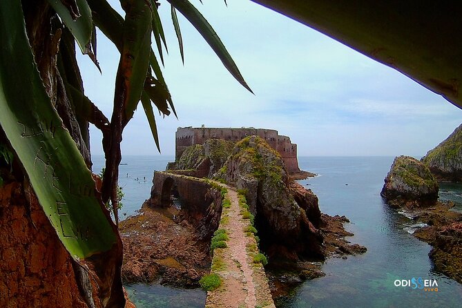 Berlengas Catamaran Tour - Discovering the Berlengas