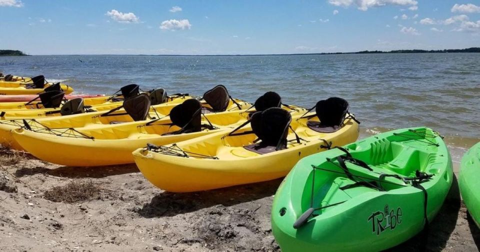 Berlin, MD: Full-, Half, or Quarter-Day Kayak Rental - Exploring Assateagues Ecosystems