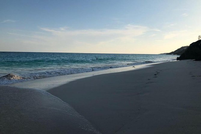 Bermuda Railway Trail and Off The Beaten Path Walking Experience - Exploring Native Foliage and Landscapes