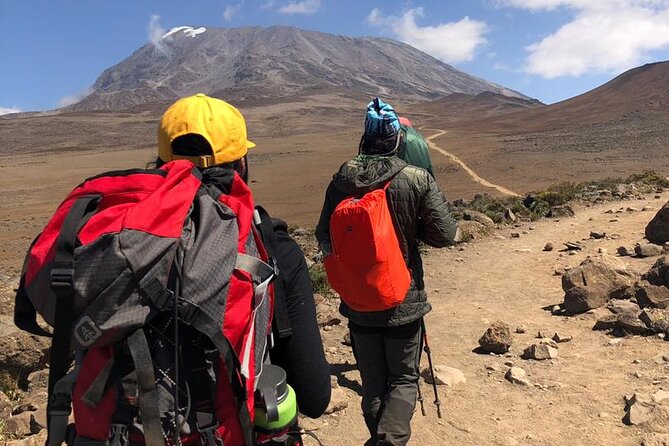 Best 6 Days Kilimanjaro Climbing via Marangu Route  &2025 - Summit Day Expectations