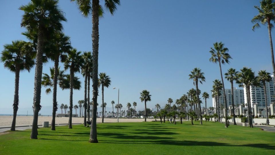 Best of Los Angeles Day Tour With German-Speaking Guide - Discover Venice Beach and Santa Monica