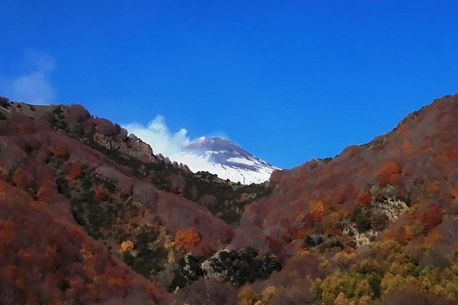 Best Of Sicily Shore Excursion: Etna, Taormina, Castelmola - 10 Persons Max - Tour Schedule and Guidelines