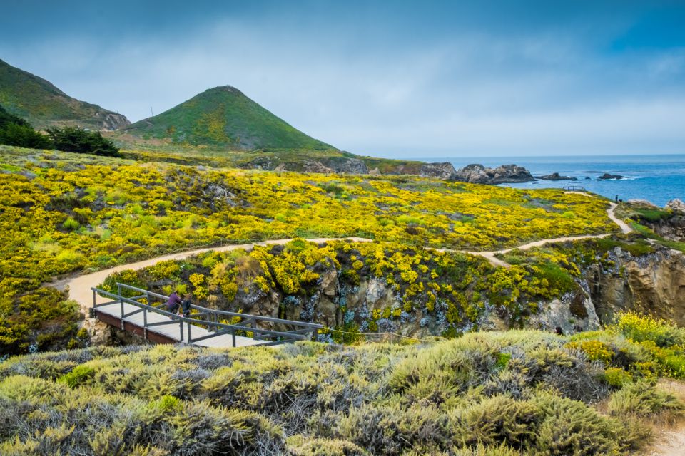 Big Sur & 17-Mile Self-Guided Audio Driving Tour - Scenic Highlights