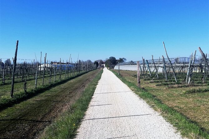 Bike Tour With Honey and Artichokes on Sant'erasmo Island - Important Considerations