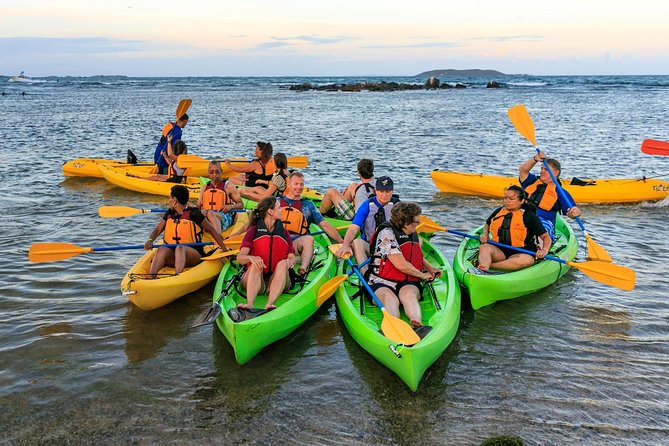 Bio Bay Night Kayaking With Transport From San Juan Area - Cancellation Policy