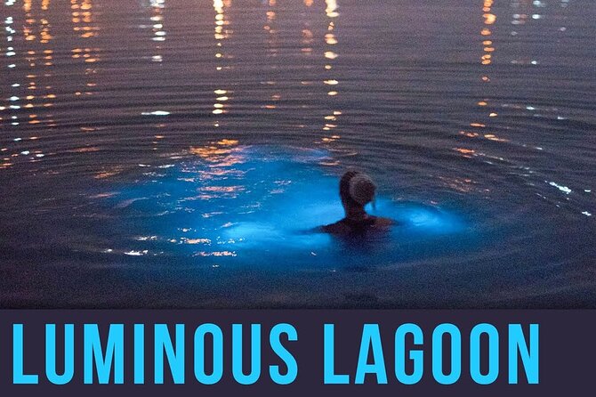 Bioluminescence Lagoon Tour From Montego Bay With Pick up - Memorable Nighttime Experiences