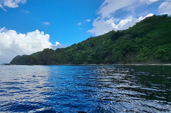 Bird Watching and Waterfall Adventure on the Caribbean Coast - Verified Customer Reviews