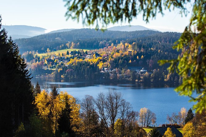 Black Forest and Rhine Falls Day Trip From Zurich - Inclusions and Exclusions