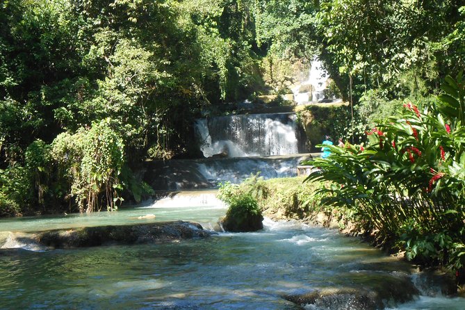 Black River Safari and YS Falls Tour With Lunch - Transportation and Accessibility