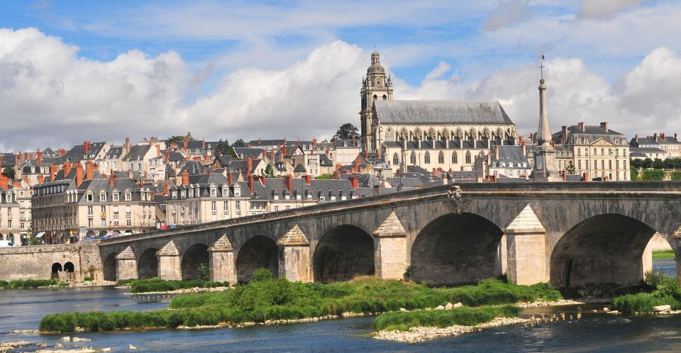 Blois: Private Tour of Blois Castle With Entry Tickets - Guided Tour by a Local Expert