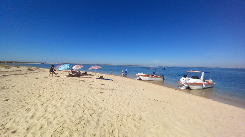 Boat Tour in Ria Formosa 3H - Exploring the Natural Park