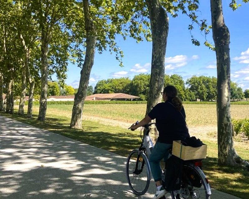 Bordeaux: St-Emilion Vineyards E-Bike Tour With Wine & Lunch - Tour Inclusions