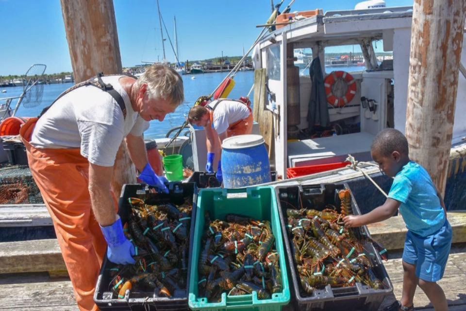 Boston: Kennebunkport Day Trip With Optional Lobster Tour - Nubble Lighthouse in York, Maine