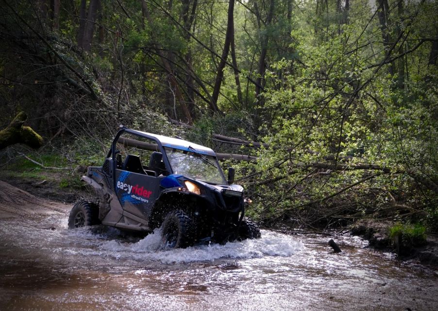 Braga: Off-Road Buggy Tour - Safety Precautions