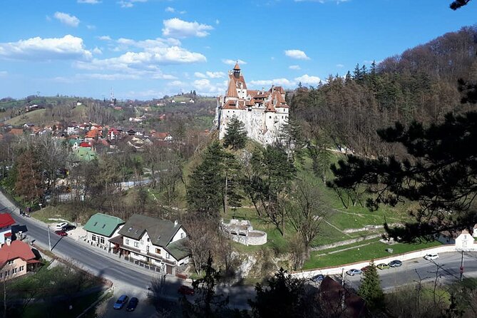 Bran Castle With Optional Bear Sanctuary From Brasov - Visiting the White Tower