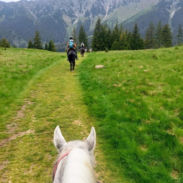 Bucharest: Horseback In the Nature and Traditional Lunch - Frequently Asked Questions