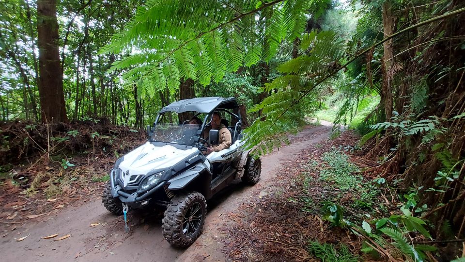 Buggy Off-Road Madeira - Recap