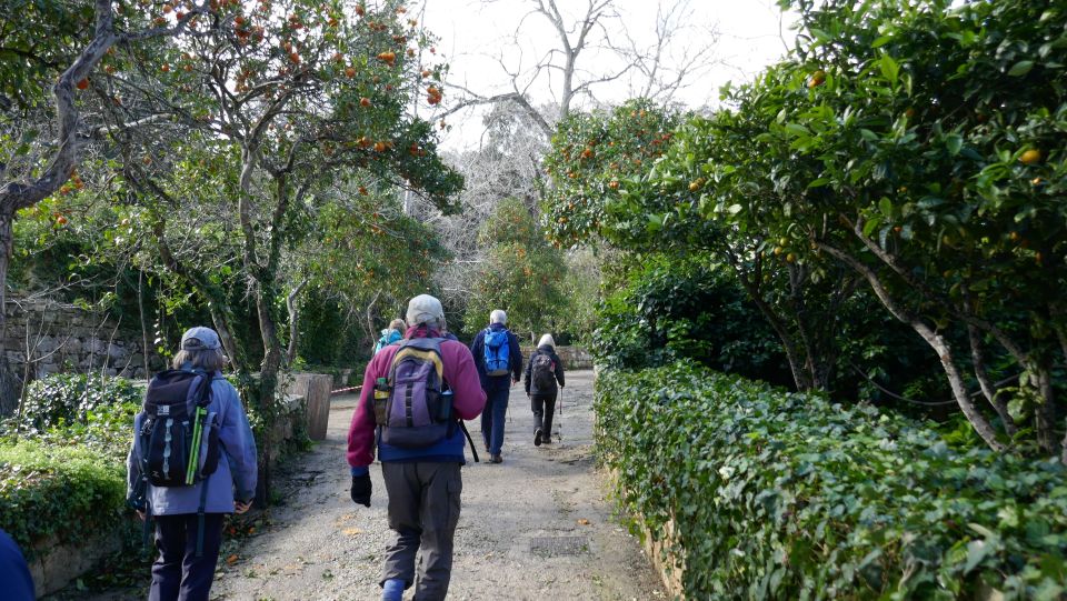 Buskett Woodlands and Dingli Cliffs Private Nature Tour - GħAr Il-Kbir Caves