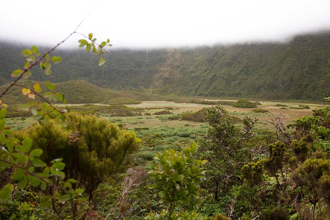 Caldeira Do Faial Descent - Private Hiking Tour - Why Choose This Tour