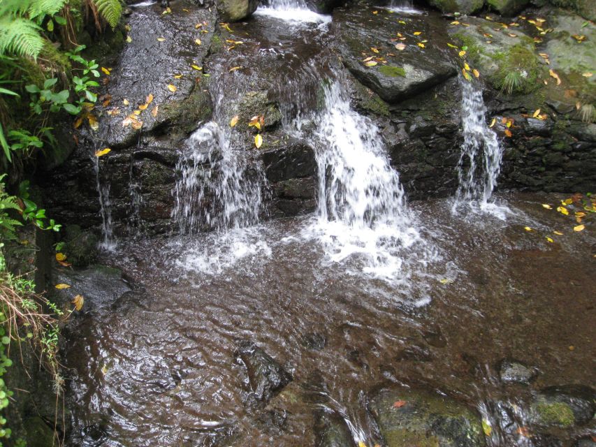 Caldeirão Verde Full Day Hike - Trip Highlights