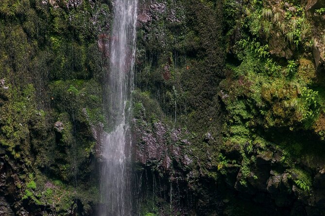 Calderão Verde Levadas Walk in Madeira - Practical Information for Booking and Cancellation