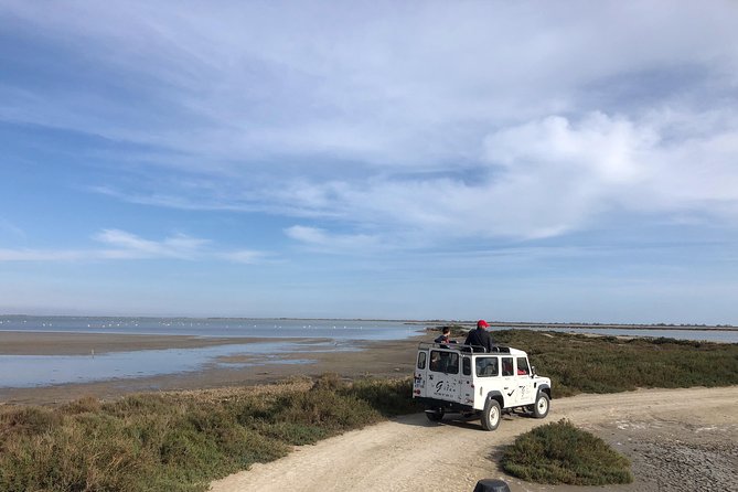 Camargue 4x4 Safari 2 Hours Saintes Maries De La MerTranslated Into English, the Input Text Is:Camargue 4x4 Safari 2 Hours Saintes Maries De La Mer - Tour Inclusions and Accessibility