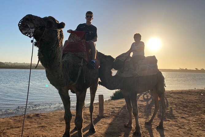 Camel Riding Agadir - Duration and Scheduling Flexibility