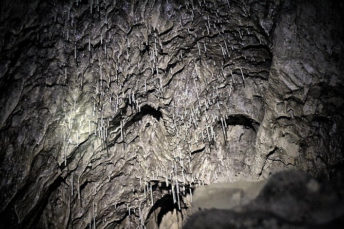 Canmore Caving Explorer Tour - Exploration Highlights