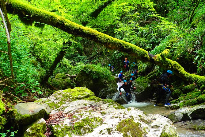 Canyoning Sensation of Angon on the Shores of Lake Annecy - Flexible Booking and Pricing