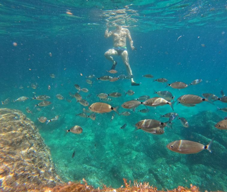 Cape Kamenjak: Guided Kayak Tours Snorkeling, Cave & Cliff - Participant Guidelines