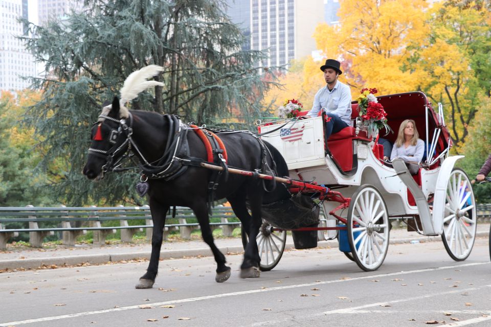 Carriage Ride To/From Tavern on the Green (Up to 4 Adults) - Marvel at Central Park Views