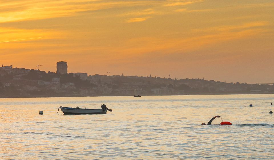 Cascais: Open Water Swimming - Weather and Conditions