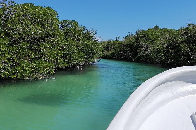 Cayo Arena, Paradise Island Tour - Confirmation and Accessibility