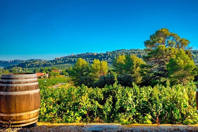 Cellar Visit & Bandol Wine Tasting - Tasting Experience and Sensory Exploration