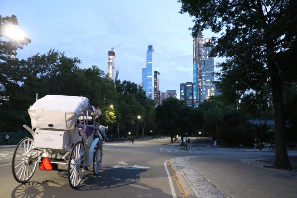 Central Park: Short Horse Carriage Ride (Up to 4 Adults) - Suitability and Capacity